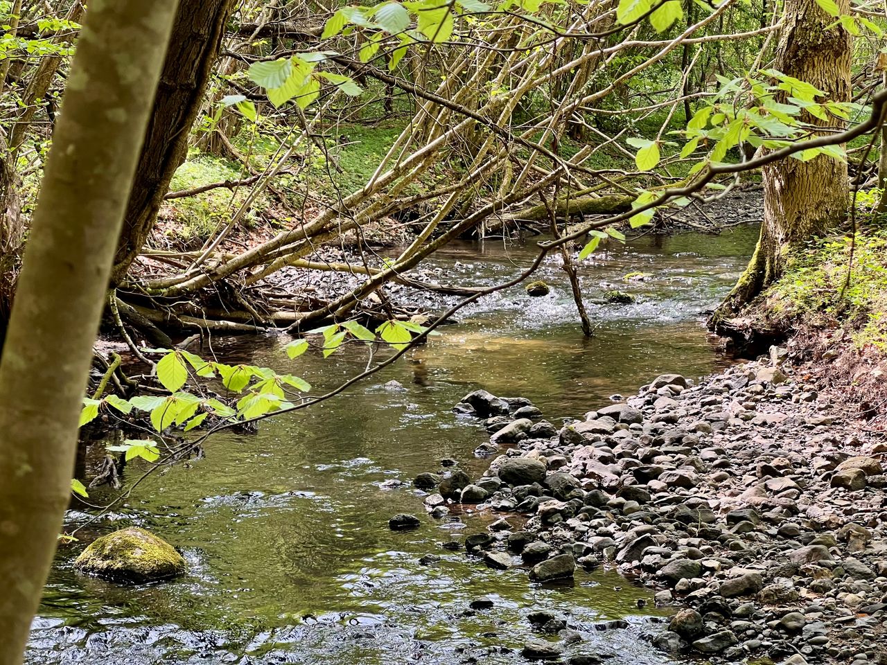 image 02